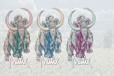 MUTiX - die neuen Bischoffinger Piwis mit Mammut-Power